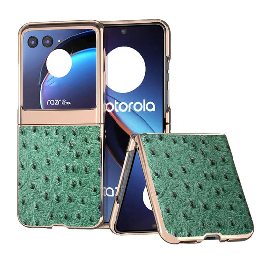 For Motorola Razr 40 Ultra Nano Plating Genuine Leather Ostrich Texture Phone Case(Green) - Motorola Cases by buy2fix | Online Shopping UK | buy2fix