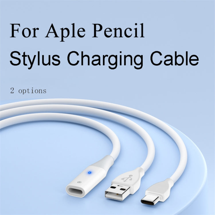 For Apple Pencil 1 USB-C / Type-C to 8 Pin Stylus Charging Cable with Indicator Light, Length:0.5m(White) - Pencil Accessories by buy2fix | Online Shopping UK | buy2fix