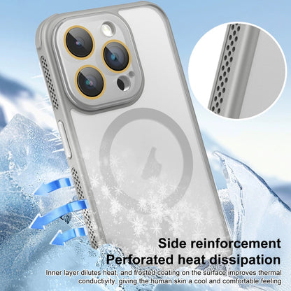 For iPhone 16 Pro Max Side Cooling Skin Feel Frosted MagSafe Magnetic Phone Case(Sky Blue) - iPhone 16 Pro Max Cases by buy2fix | Online Shopping UK | buy2fix