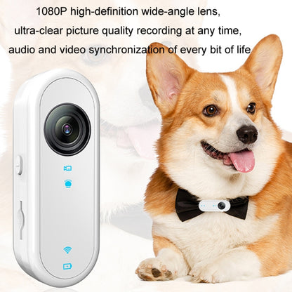 HD Outdoor Portable Pet Recorder Cycling Sports Camera, Specifications: With Silicone Collar - Video Cameras by buy2fix | Online Shopping UK | buy2fix