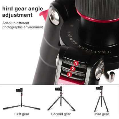 TRIOPO 888 Adjustable Portable Carbon Fiber Tripod with Q-2 Ball Head for SLR Camera, Pipe diameter: 28cm - Tripods by TRIOPO | Online Shopping UK | buy2fix