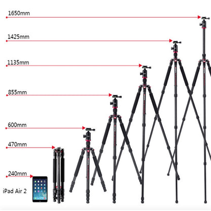 TRIOPO 888 Adjustable Portable Carbon Fiber Tripod with Q-2 Ball Head for SLR Camera, Pipe diameter: 28cm - Tripods by TRIOPO | Online Shopping UK | buy2fix