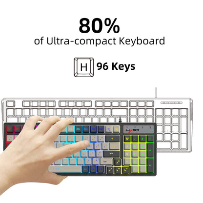 HXSJ V600 96-key RGB Backlit Dual-color Injection-molded Wired Gaming Keyboard - Wired Keyboard by HXSJ | Online Shopping UK | buy2fix