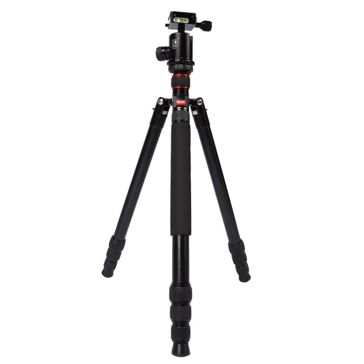 Triopo MT-2804C Adjustable Portable Aluminum Tripod (Gold) with NB-2S Ball Head (Black) for Canon Nikon Sony DSLR Camera - Camera Accessories by TRIOPO | Online Shopping UK | buy2fix