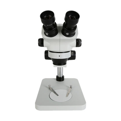 0.7X-50X Stereo Microscope Binocular Microscope With Light(White) - Digital Microscope by buy2fix | Online Shopping UK | buy2fix