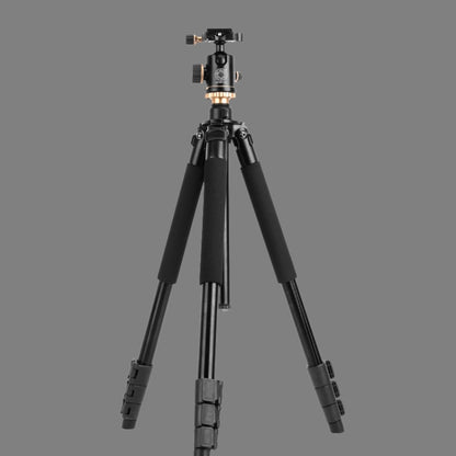 Q338 4-Section Folding Legs Live Broadcast Aluminum Alloy Tripod Mount With Ball Head - Camera Accessories by buy2fix | Online Shopping UK | buy2fix