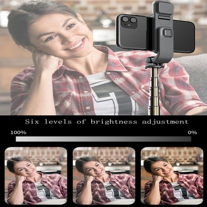 L03S Bluetooth Fill Light Tripod Integrated Selfie Stick(Black) - Consumer Electronics by buy2fix | Online Shopping UK | buy2fix