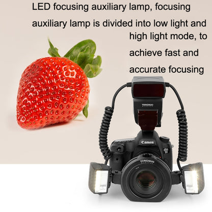 For Canon TTL Oral Insect Insect Teeth Ring Light YONGNUO YN24EX Macro Ring Flash Speedlite(Black) - Ring Light Flashes by YONGNUO | Online Shopping UK | buy2fix